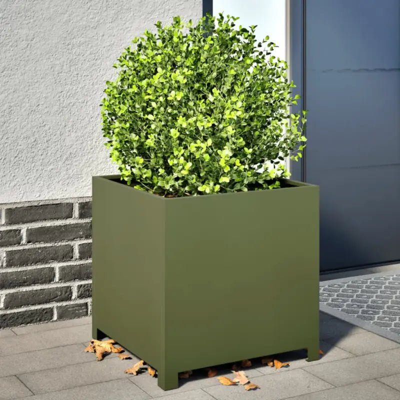 Plantenbakken voor je favoriete planten en bloemen voor tuin en balkon - Staal/Groen / 50 x 50 x 50 cm / 1