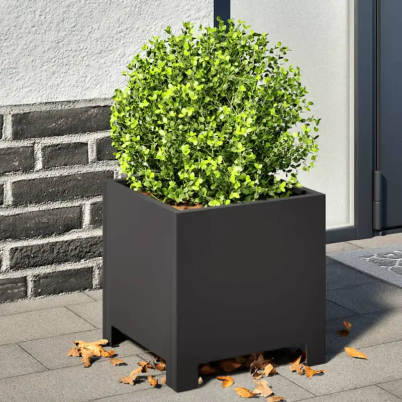 Plantenbakken voor je favoriete planten en bloemen voor tuin en balkon - Staal/Zwart / 30 x 30 x 30 cm / 1