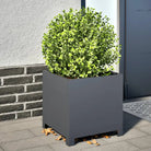 Plantenbakken voor je favoriete planten en bloemen voor tuin en balkon - Staal/Antracietkleurig / 40 x 40 x 40 cm / 1