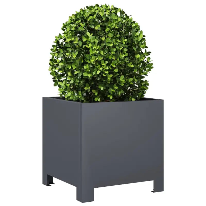 Plantenbakken voor je favoriete planten en bloemen voor tuin en balkon - Bloempotten & plantenbakken