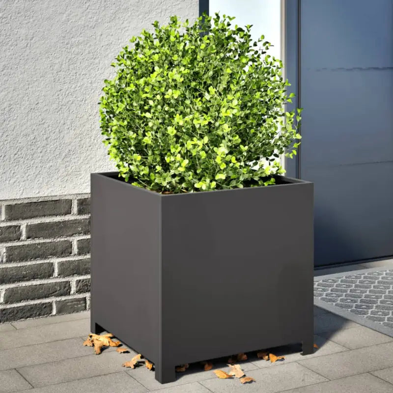 Plantenbakken voor je favoriete planten en bloemen voor tuin en balkon - Staal/Zwart / 50 x 50 x 50 cm / 1