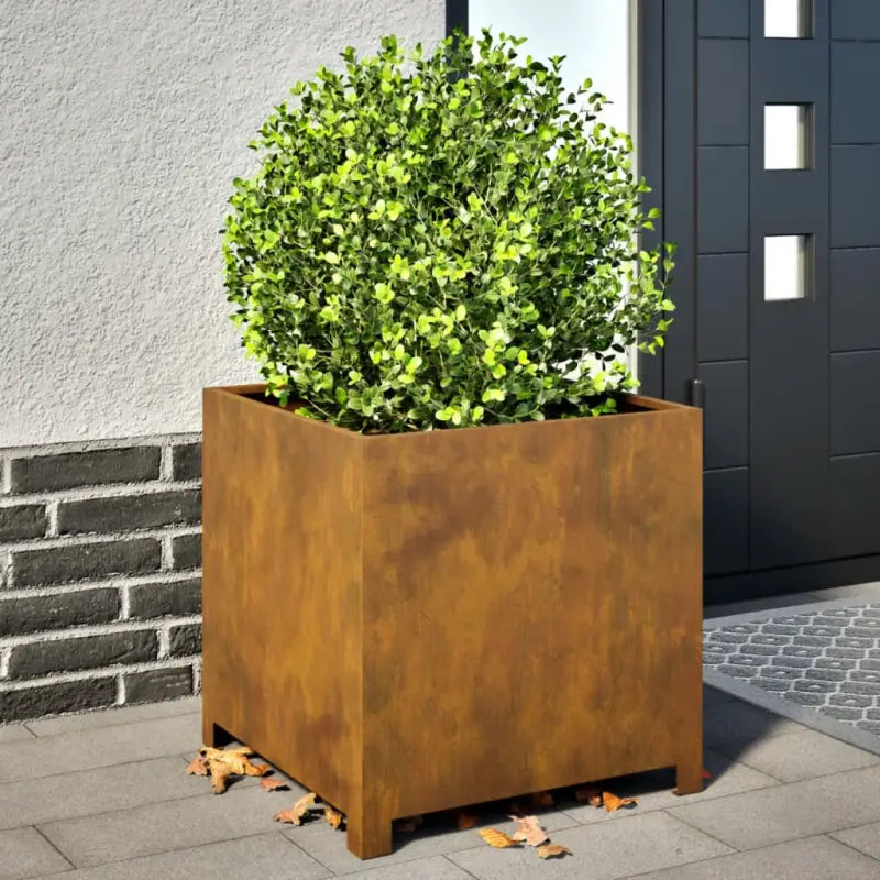 Plantenbakken voor je favoriete planten en bloemen voor tuin en balkon - Cortenstaal/Bruin / 50 x 50 x 50 cm / 1