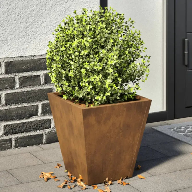 Plantenbakken voor je favoriete planten voor tuin en balkon - Cortenstaal/Bruin / 30 x 30 x 30 cm / 2 - Bloempotten &