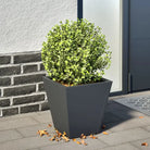 Plantenbakken voor je favoriete planten voor tuin en balkon - Staal/Antracietkleurig / 30 x 30 x 30 cm / 1