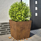 Plantenbakken voor je favoriete planten voor tuin en balkon - Cortenstaal/Bruin / 50 x 50 x 50 cm / 2 - Bloempotten &