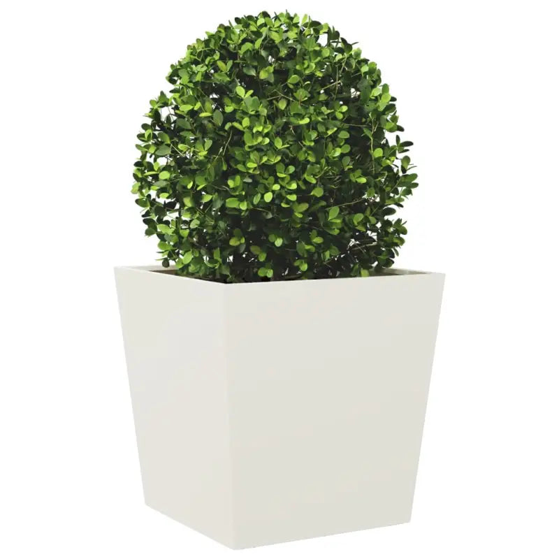 Plantenbakken voor je favoriete planten voor tuin en balkon - Bloempotten & plantenbakken