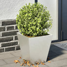 Plantenbakken voor je favoriete planten voor tuin en balkon - Roestvrij staal/Lichtgrijs / 30 x 30 x 30 cm / 2