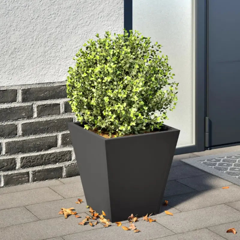 Plantenbakken voor je favoriete planten voor tuin en balkon - Staal/Zwart / 30 x 30 x 30 cm / 1 - Bloempotten &