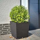Plantenbakken voor je favoriete planten voor tuin en balkon - Staal/Zwart / 50 x 50 x 50 cm / 1 - Bloempotten &