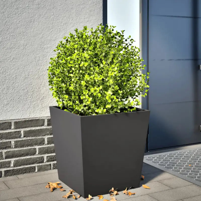 Plantenbakken voor je favoriete planten voor tuin en balkon - Staal/Zwart / 50 x 50 x 50 cm / 1 - Bloempotten &