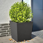 Plantenbakken voor je favoriete planten voor tuin en balkon - Staal/Zwart / 50 x 50 x 50 cm / 2 - Bloempotten &