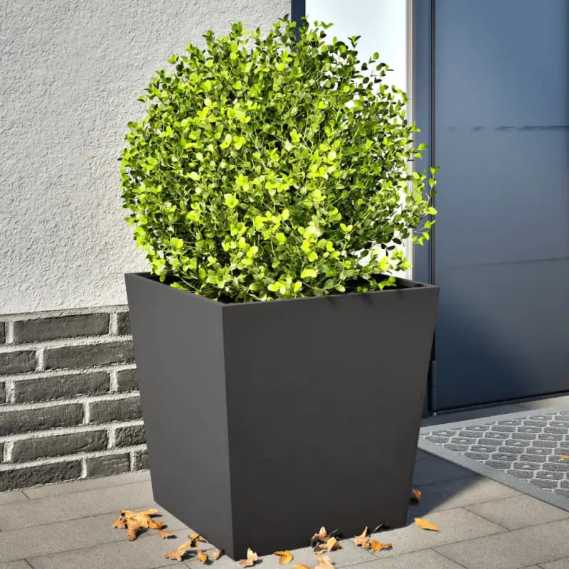 Plantenbakken voor je favoriete planten voor tuin en balkon - Staal/Zwart / 50 x 50 x 50 cm / 2 - Bloempotten &
