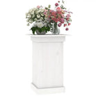 Plantenstandaarden van massief grenenhout voor decoratie en bloemenviering - Plantenstandaarden