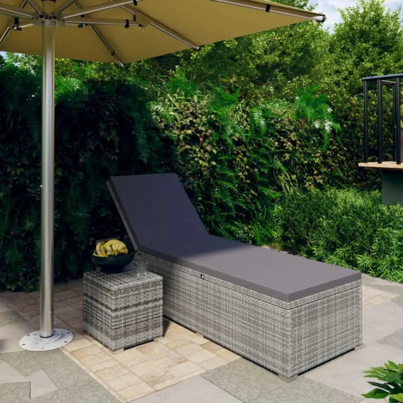 Poly rattan ligstoel met gepoedercoat stalen frame voor ontspanning - Grijs / 1 - Ligstoelen