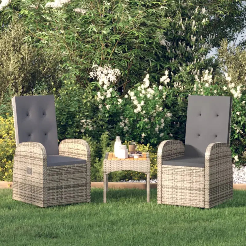 Poly Rattan Tuinstoelen voor een moderne tuin of balkon uitstraling - Donkergrijs / 2 - Tuinstoelen