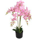 Realistische orchidee kunstplant voor een groene touch in huis of kantoor - Roze / 75 cm / 1 - Kunstplanten