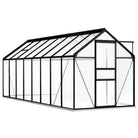 Ruime tuinkas met sterke profielen voor tuinbouw en bescherming - 190 x 490 x 202 cm / 1 - Tuinkassen
