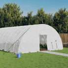 Ruime Tuinkas voor Groenten en Planten in Duurzaam Polyethyleen - Wit / 10 x 6 x 2.85 m / 1 - Tuinkassen