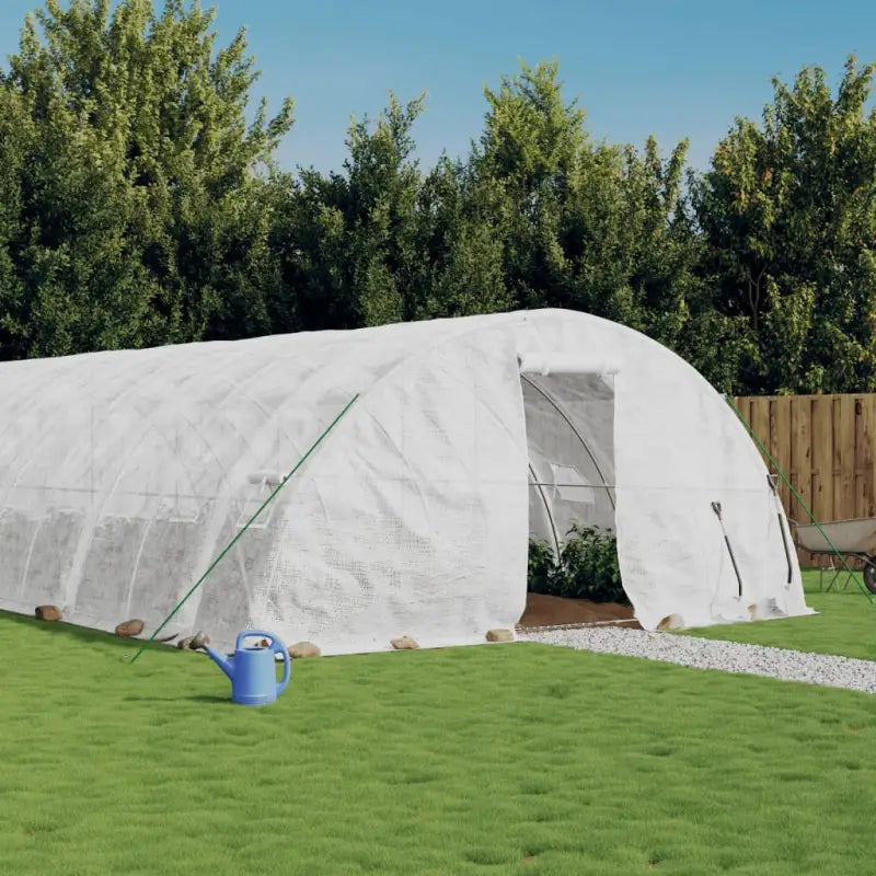 Ruime tuinkas voor planten groenten en fruit beschermd tegen weersomstandigheden - Wit / 16 x 5 x 2.3 m / 1 - Tuinkassen
