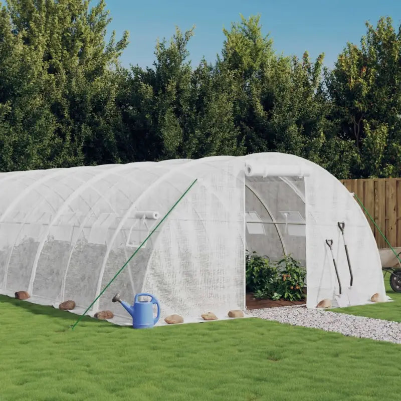 Ruime Tuinkas voor Planten Groenten en Fruit Bescherming - Wit / 12 x 4 x 2 m / 1 - Tuinkassen
