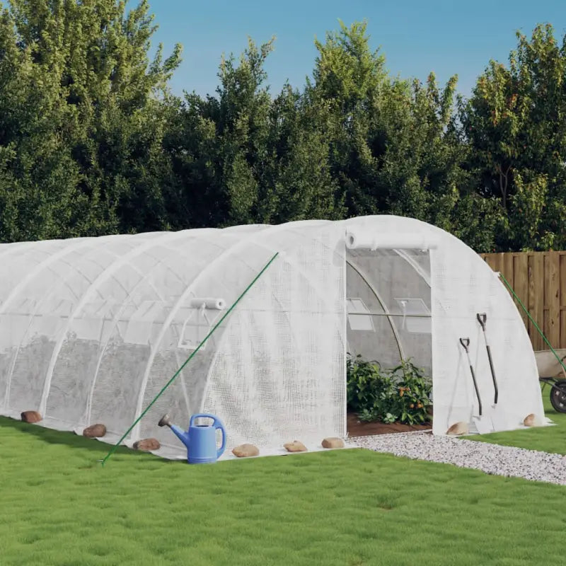 Ruime Tuinkas voor Planten Groenten en Fruit Bescherming - Wit / 6 x 4 x 2 m / 1 - Tuinkassen