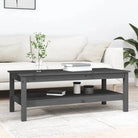 Salontafel van massief grenenhout met rustieke uitstraling - Grijs / 110 x 50 x 40 cm / 1 - Salontafels