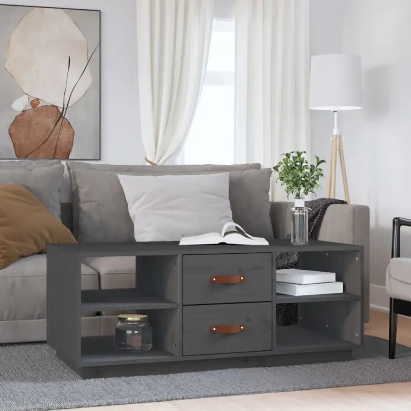 Salontafel van massief grenenhout voor een stijlvolle woonkamer - Grijs / 1 - Salontafels