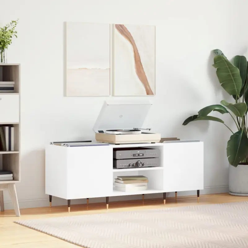 Stevige blad vinylkast met ijzeren poten en bewerkt hout - Cd- & dvd-kasten