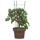 Stevige plantensteunen voor klimplanten bloemen en groenten - Plantenkooien & -steunen