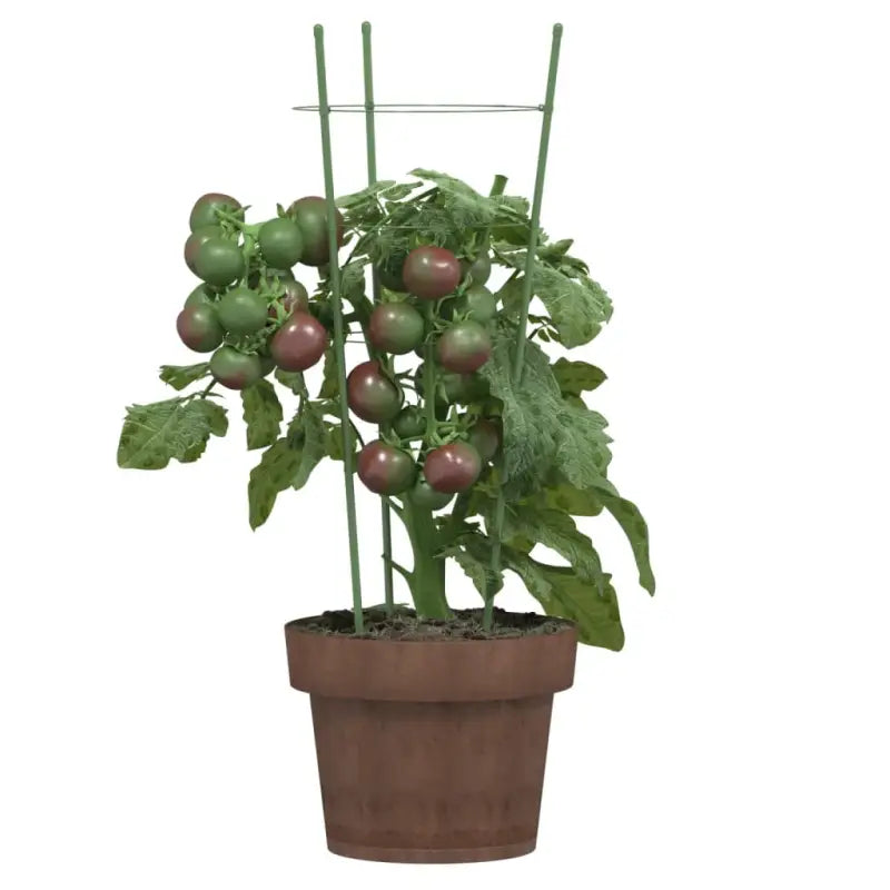 Stevige plantensteunen voor klimplanten bloemen en groenten - Plantenkooien & -steunen