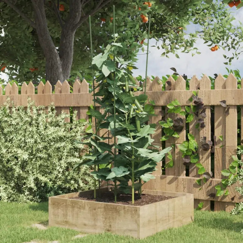 Stevige plantensteunen voor klimplanten bloemen en groenten - 30 x 90 cm / 5 - Plantenkooien & -steunen