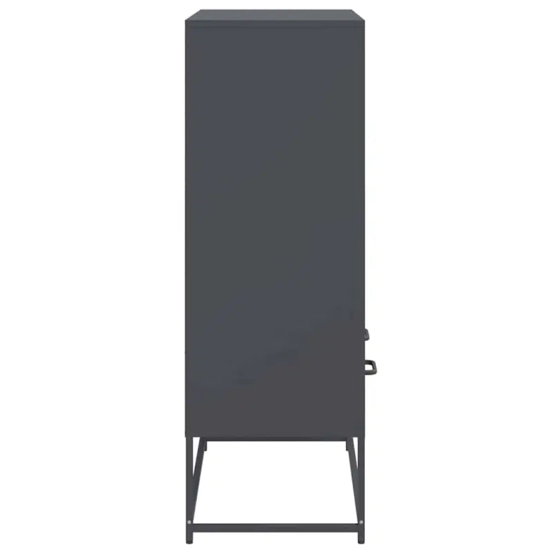 Trendy hoge kast van duurzaam staal voor een elegante interieurstijl - Dressoirs & buffetkasten