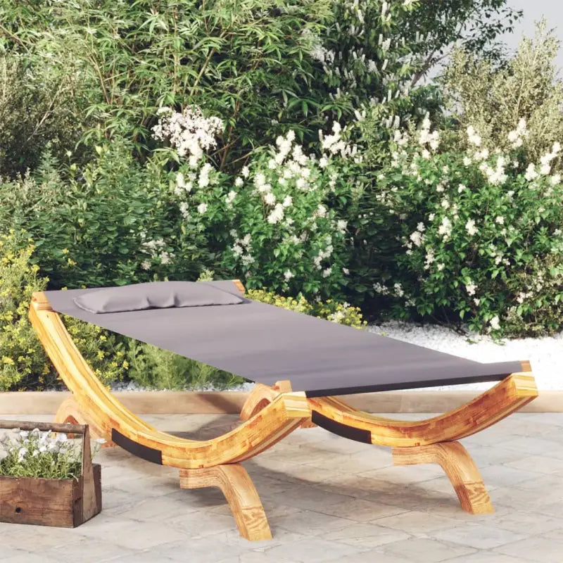 Tuinbed met massief gebogen hout voor duurzaam ontspanning - Antraciet / 100 x 188.5 x 44 cm - Tuinbedden