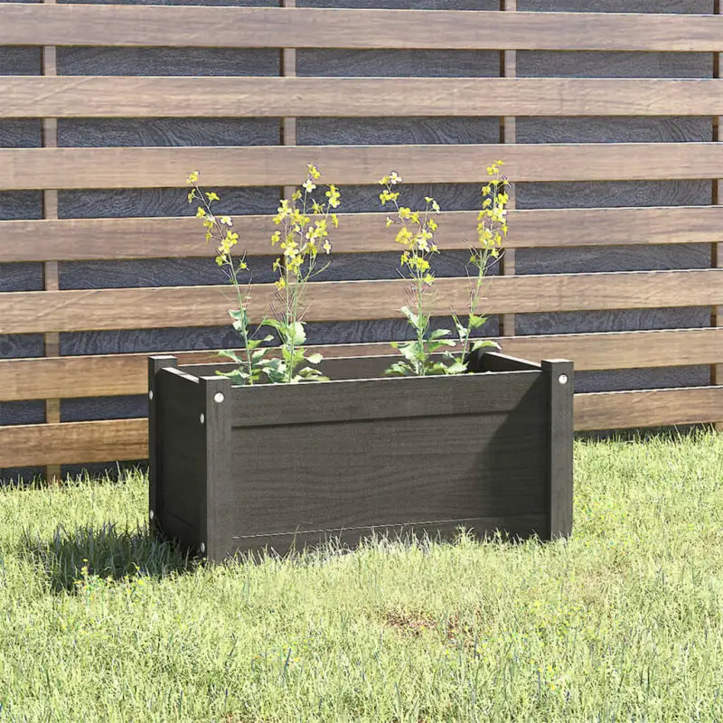 Tuinen plantenbak van massief grenenhout voor buitengebruik - Bloempotten & plantenbakken