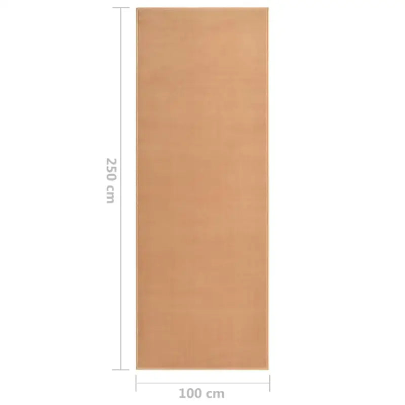 Veelzijdig en comfortabel tapijtloper voor diverse ruimtes - Beige / 100 x 250 cm - Vloerkleden