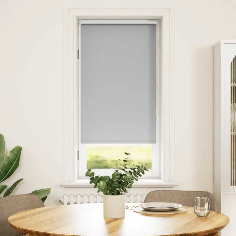Verduisterende rolgordijnen voor jonge kinderen en optimale lichtcontrole - Grijs / 60 x 120 cm - Jaloezieën &