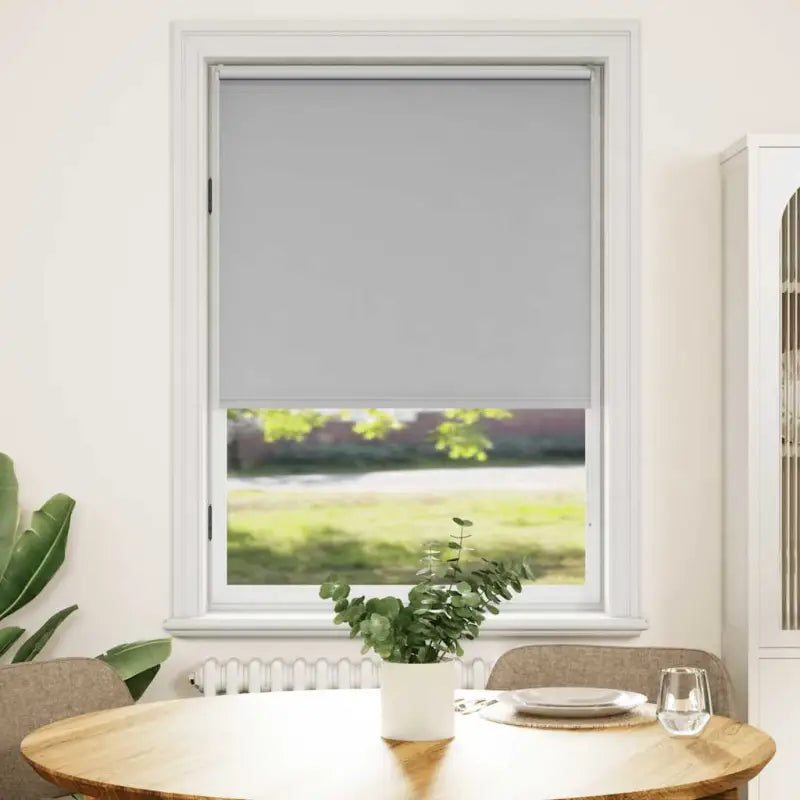 Verduisterende rolgordijnen voor jonge kinderen en optimale lichtcontrole - Grijs / 120 x 175 cm - Jaloezieën &