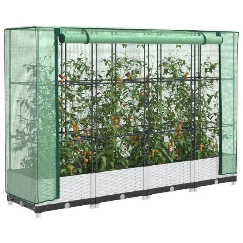Verhoogde plantenbak met kasdek voor extra groeiruimte - Wit / 160 x 40 x 123 cm / 1 - Bloempotten & plantenbakken