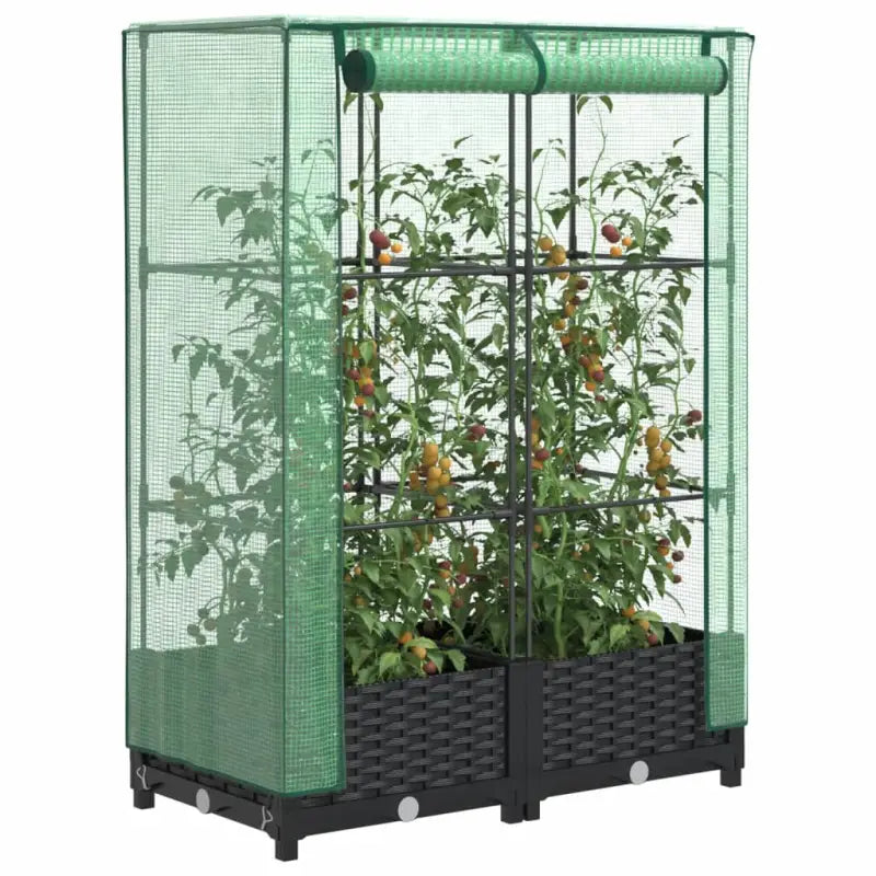 Verhoogde plantenbak met kasdek voor extra groeiruimte - Zwart / 80 x 40 x 123 cm / 1 - Bloempotten & plantenbakken