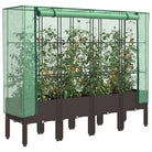Verhoogde plantenbak met kasdek voor veel groeiruimte - Bruin / 160 x 40 x 140 cm / 1 - Bloempotten & plantenbakken
