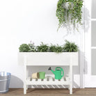 Verhoogde plantenbak van massief douglashout voor tuin en balkon - Wit grenenhout / 101 x 30 x 69 cm / 1 - Bloempotten