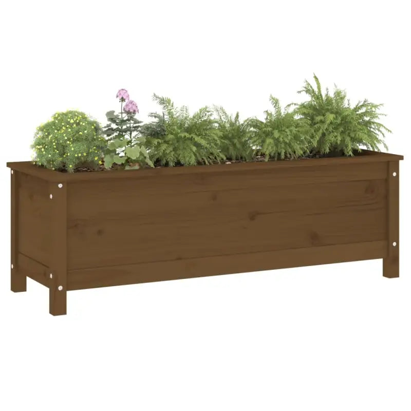 Verhoogde plantenbak van massief grenenhout voor tuin en balkon - Bloempotten & plantenbakken