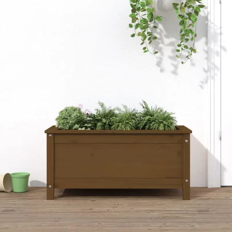 Verhoogde plantenbak van massief grenenhout voor tuin en balkon - Honingbruin grenenhout / 82.5 x 40 x 39 cm / 1