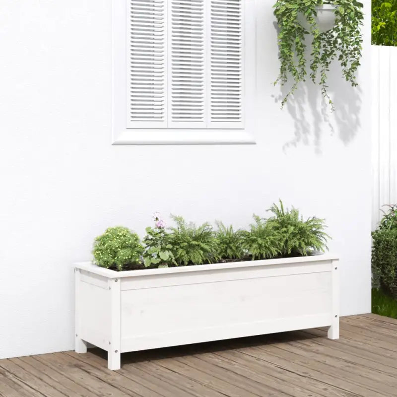 Verhoogde plantenbak van massief grenenhout voor tuin en balkon - Wit grenenhout / 119.5 x 40 x 39 cm / 1 - Bloempotten