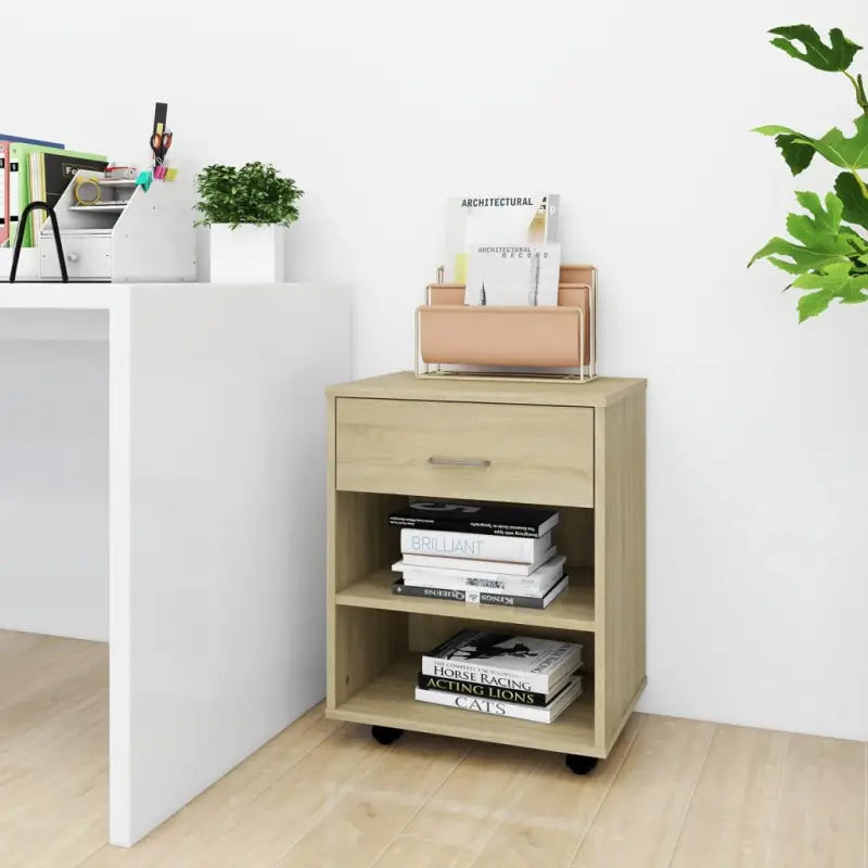 Verplaatsbare opbergkast van bewerkt hout met moderne uitstraling - Sonoma eiken / 1 - Opbergkasten & lockerkasten