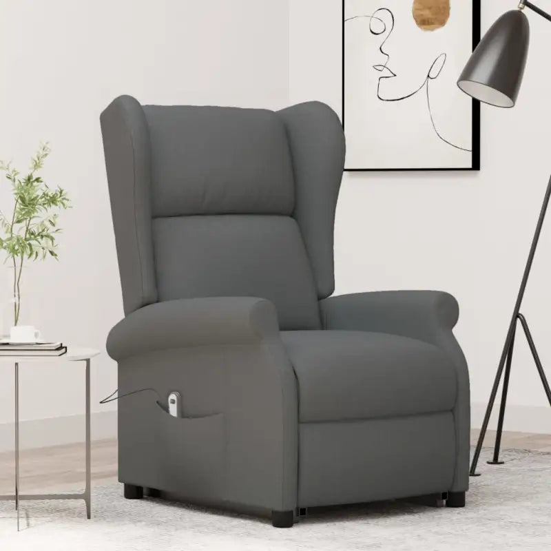 Verstelbare stoel met verstelbare rugleuning en voetensteun voor ultiem comfort - Donkergrijs / 1 - Fauteuils &