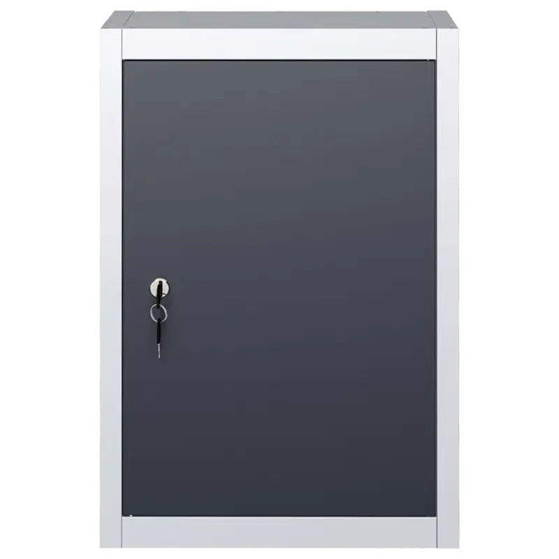 Wandgereedschapskast met verstelbaar schap en geperforeerde plaat - Gereedschapskasten