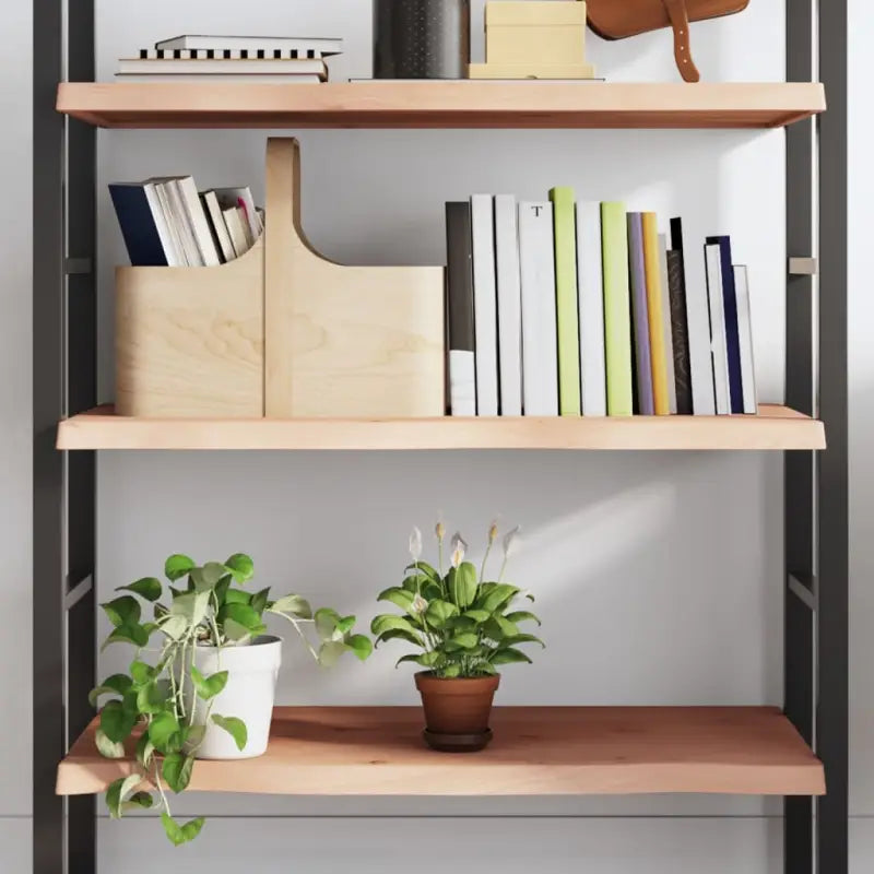 Wandplank van massief eikenhout met natuurlijke rand voor extra opbergruimte - Naturel / 80 x 40 x 4 cm / 1