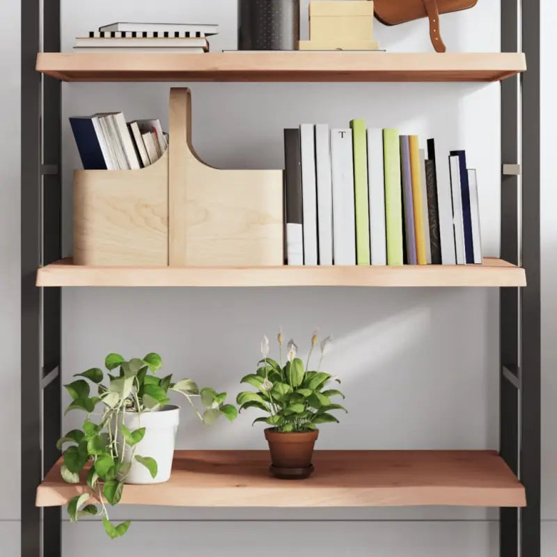 Wandplank van massief eikenhout met natuurlijke rand voor extra opbergruimte - Naturel / 100 x 50 x 4 cm / 1