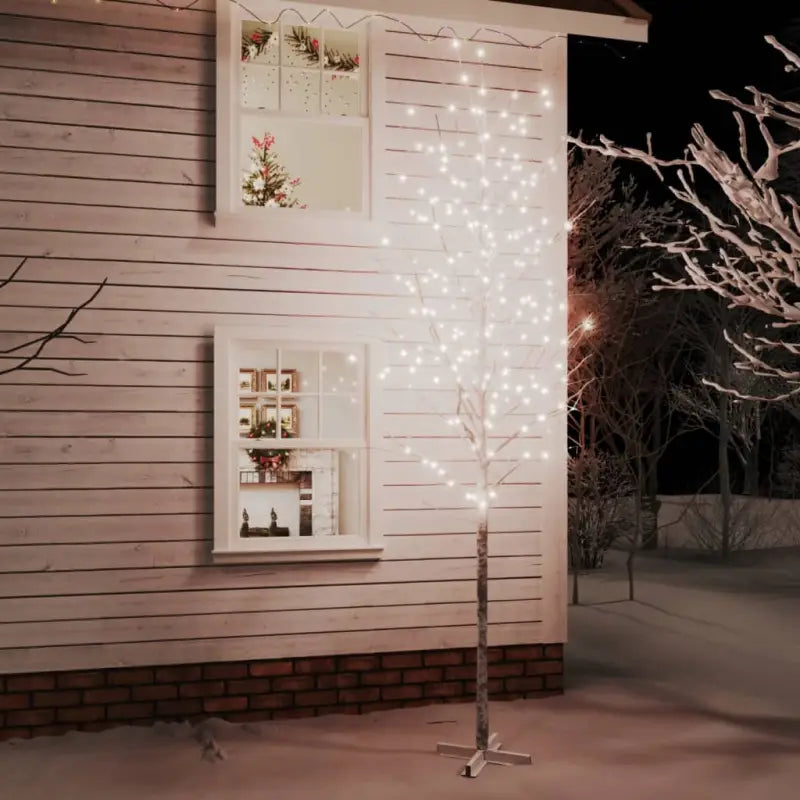 Witte LED Berkenboom voor een natuurlijke lichtdecoratie - 400 cm / 1 - Kerstbomen